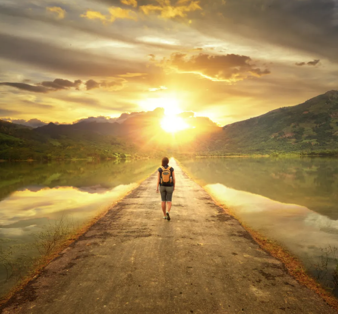 AKW Collegium Bobolanum tweet media