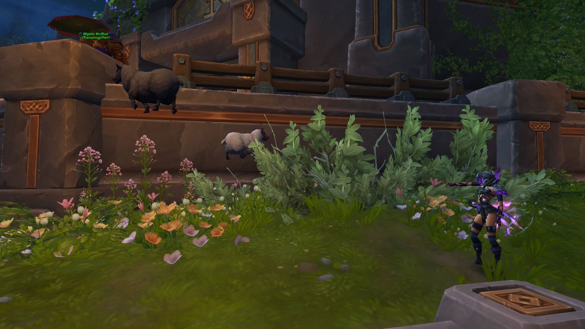 Blaine 🔜Blizzcon 2K26 tweet media