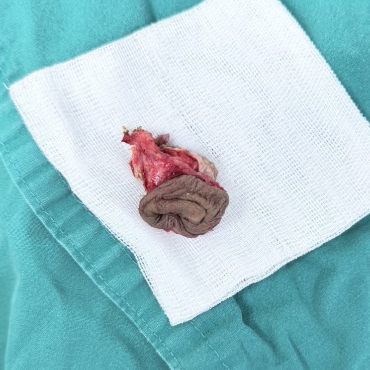 Men Plus By Mediprime Clinic tweet media