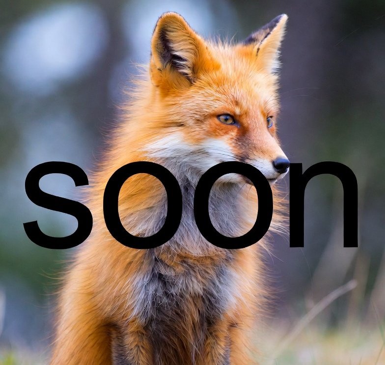 FoxieTribe tweet media