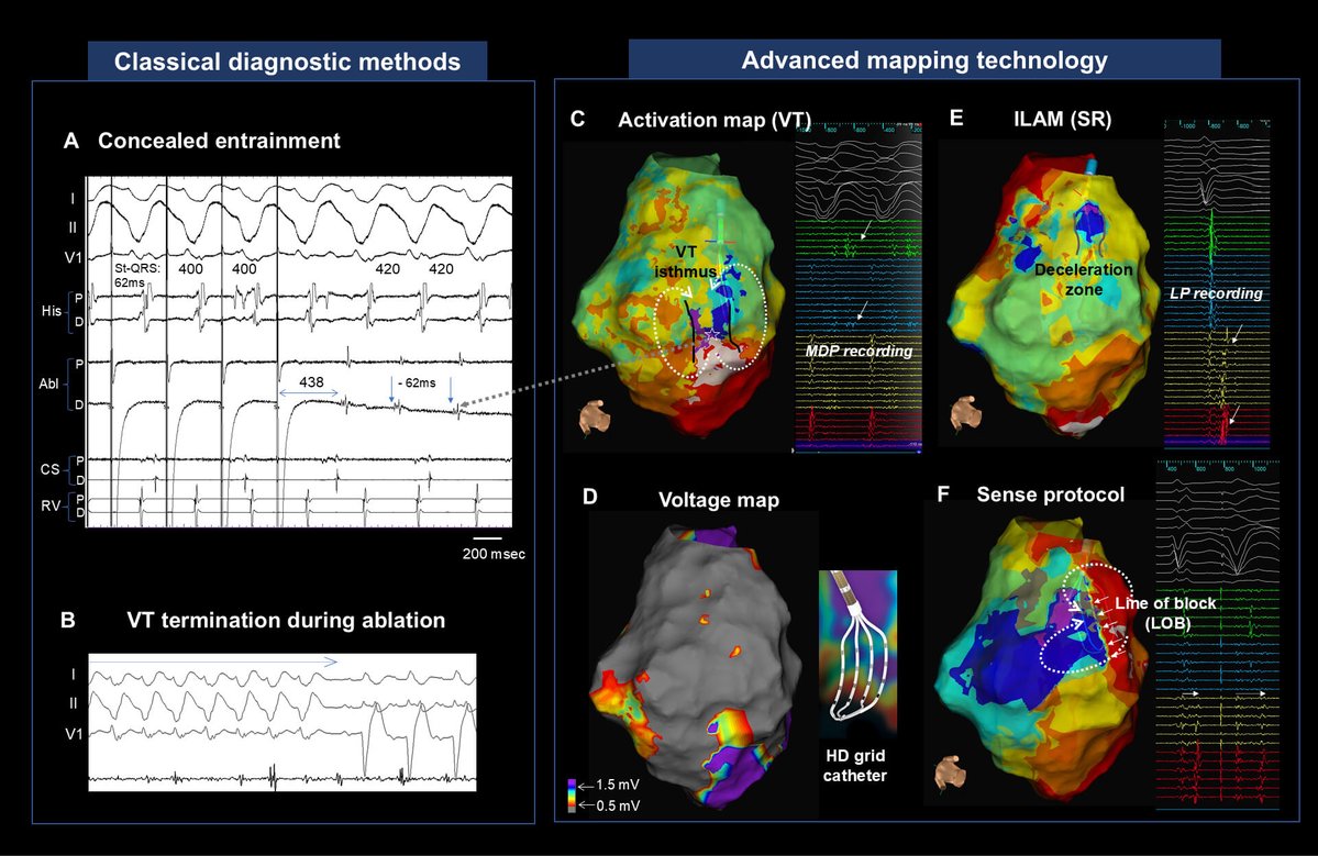 Reviews in Cardiovascular Medicine tweet media