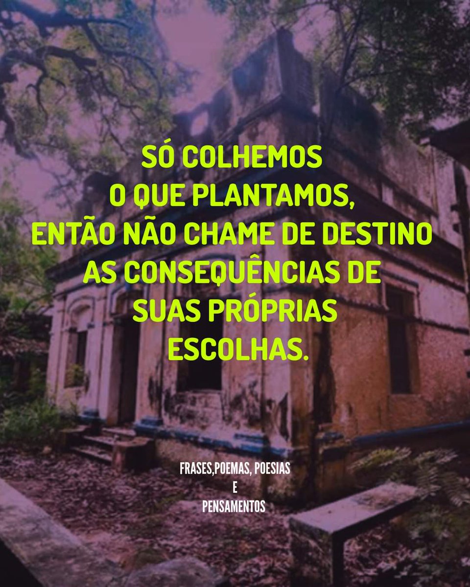 PQDPARABELLUM's tweet photo. Bom dia!... https://t.co/FrQW6BdPRS