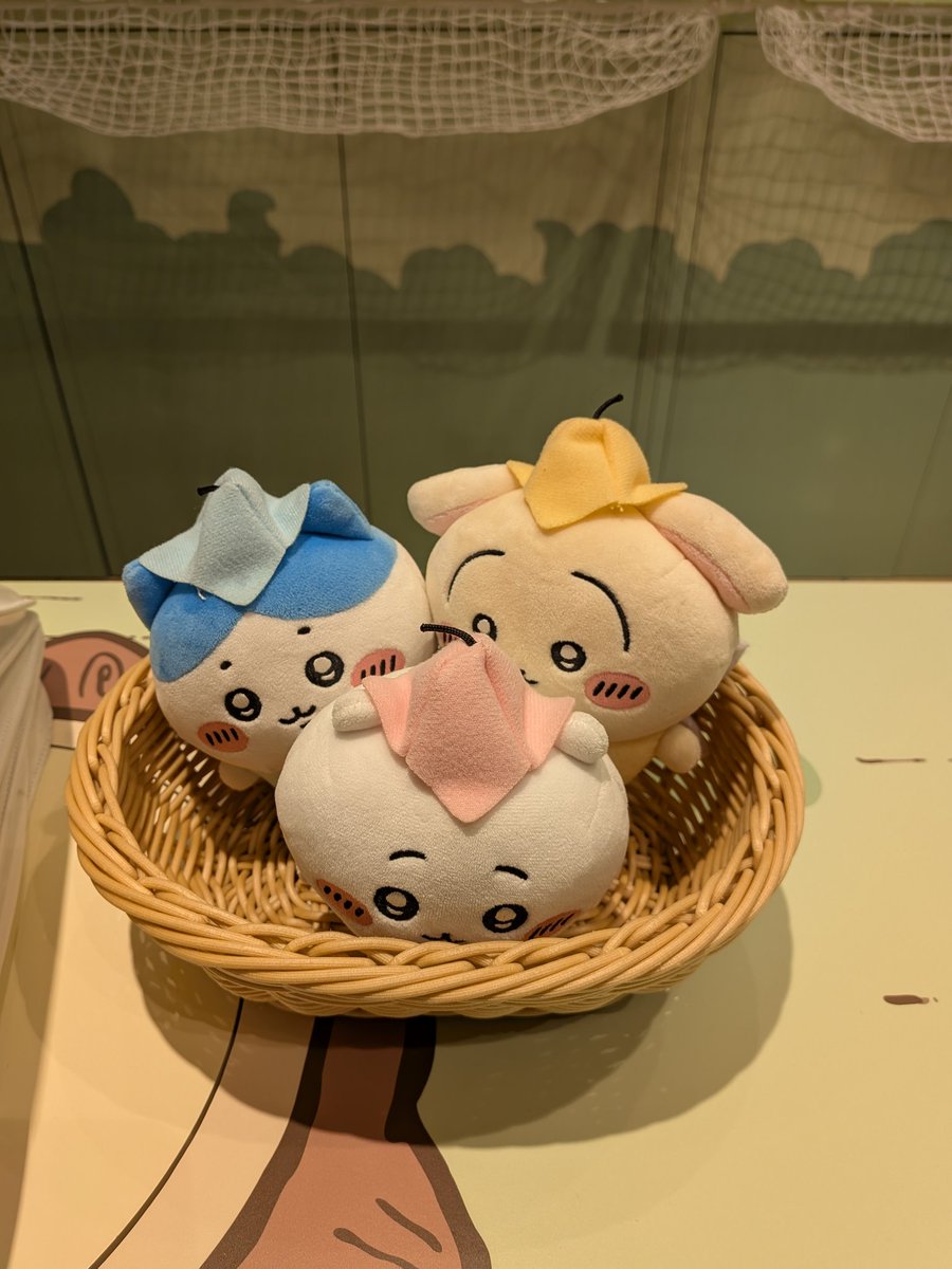 檜山杞紗 tweet media
