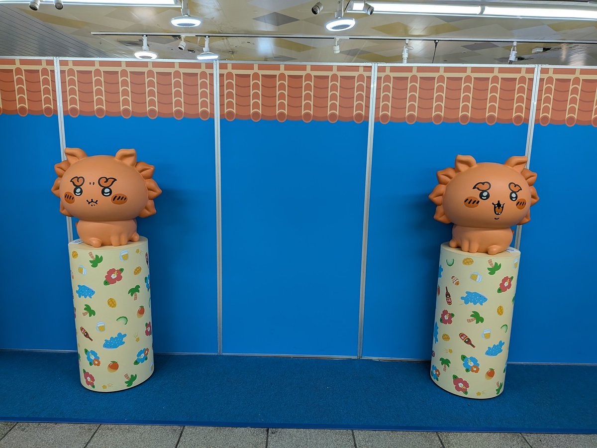 檜山杞紗 tweet media
