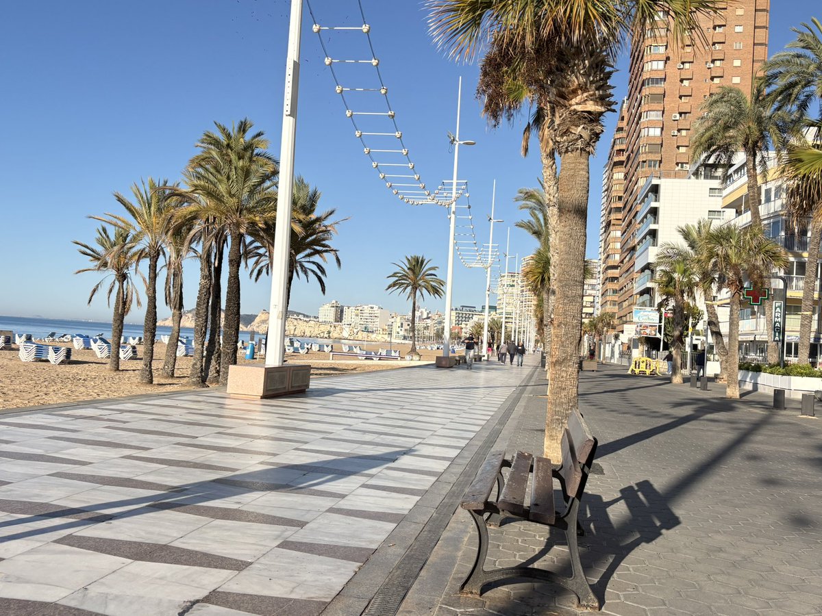 Andrea Anderson tweet media