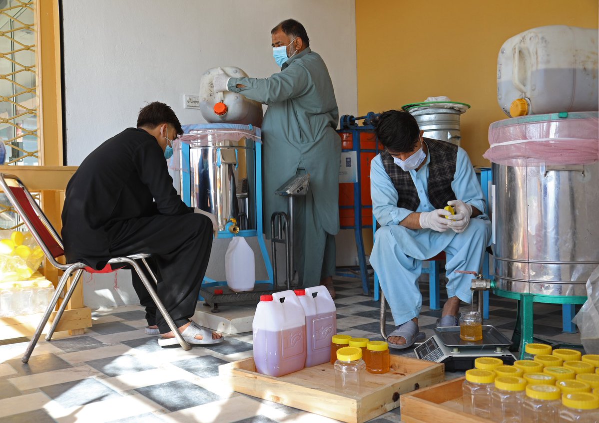 UNDP Afghanistan tweet media