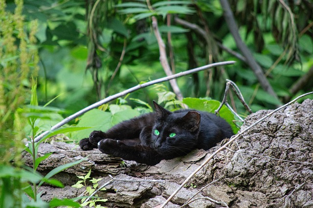 Melissa Gonzalez tweet media