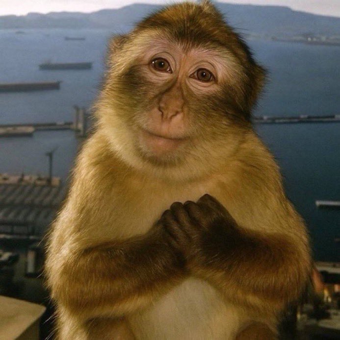 hallederiz tweet media