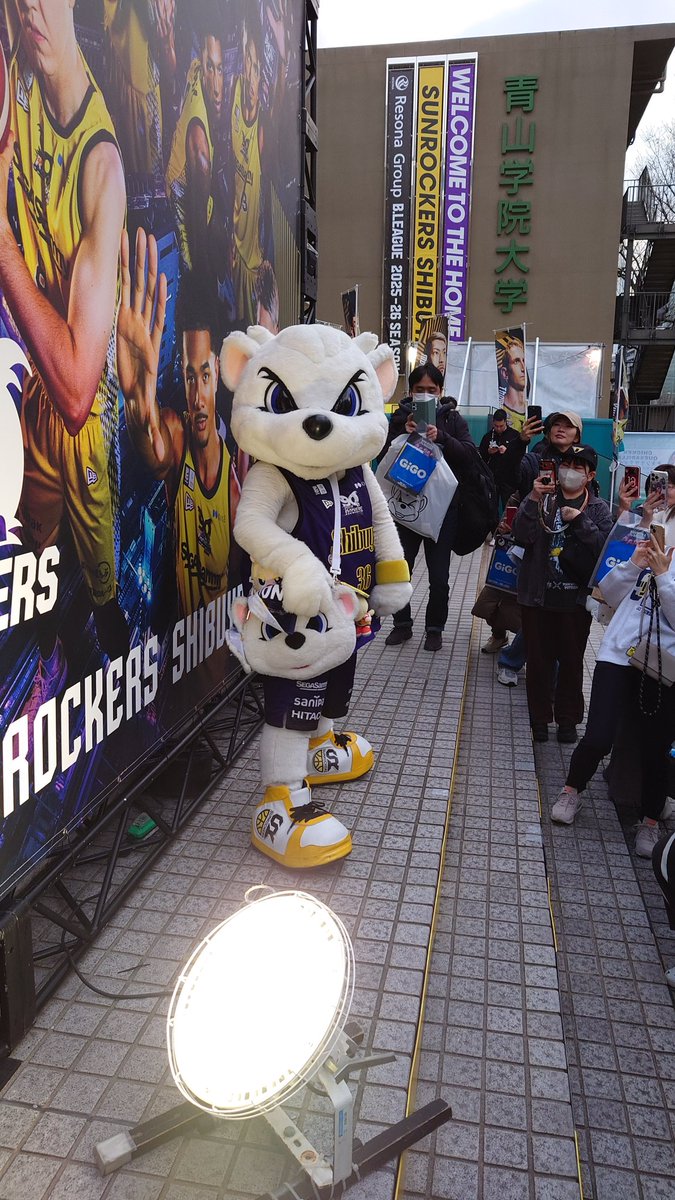 _chami_'s tweet photo. サンちゃんとサンロッカーズを応援しに来ました🏀
サンディーくんやお姉さんたちのファンサですでにメロメロ😇
#サンロッカーズ渋谷
#MWAM
#DJSantaMonica
#SR90MISSION https://t.co/U3NoBxZm9D