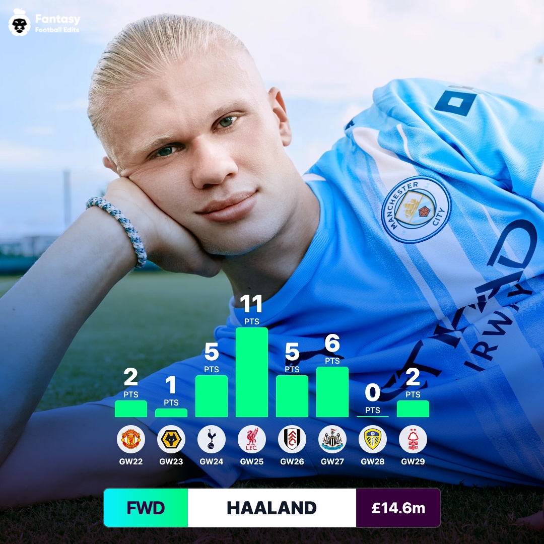 FPL Walrus 🦭 tweet media