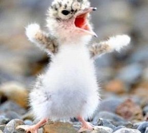 リバプール推し_13 tweet media