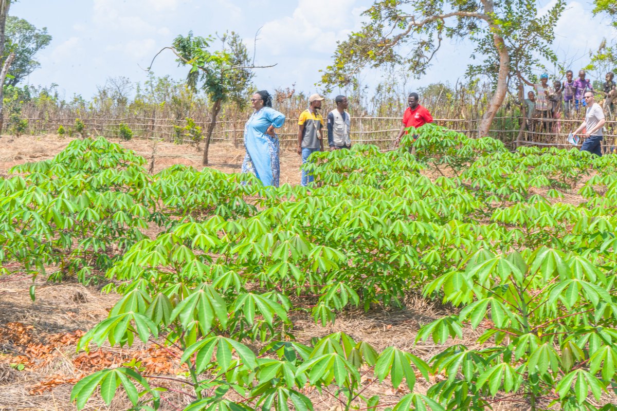 Mercy Corps en République Démocratique du Congo tweet media