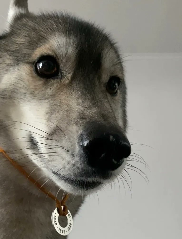 xxїv🇺🇦 tweet media