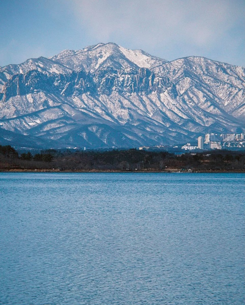 캣츠파파 tweet media