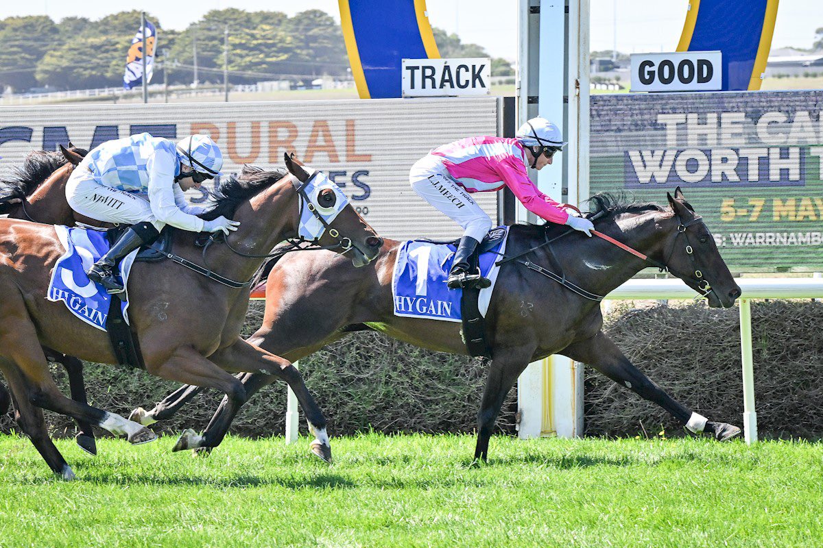 AJ Chambers Racing tweet media