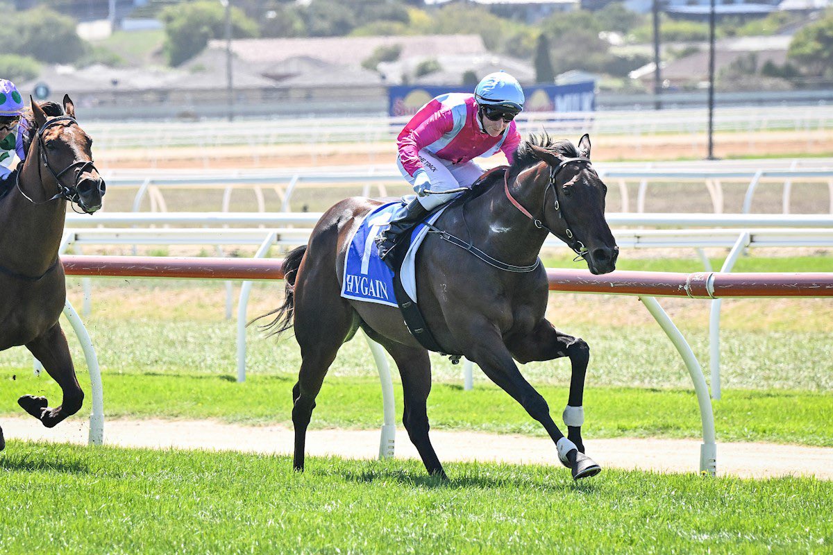 AJ Chambers Racing tweet media