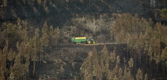 Fundación CETEMAS tweet media