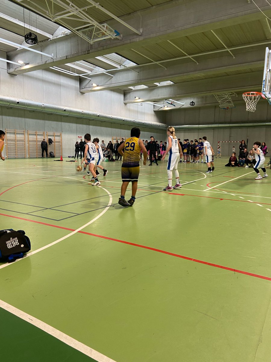 MUTILBASKET tweet media