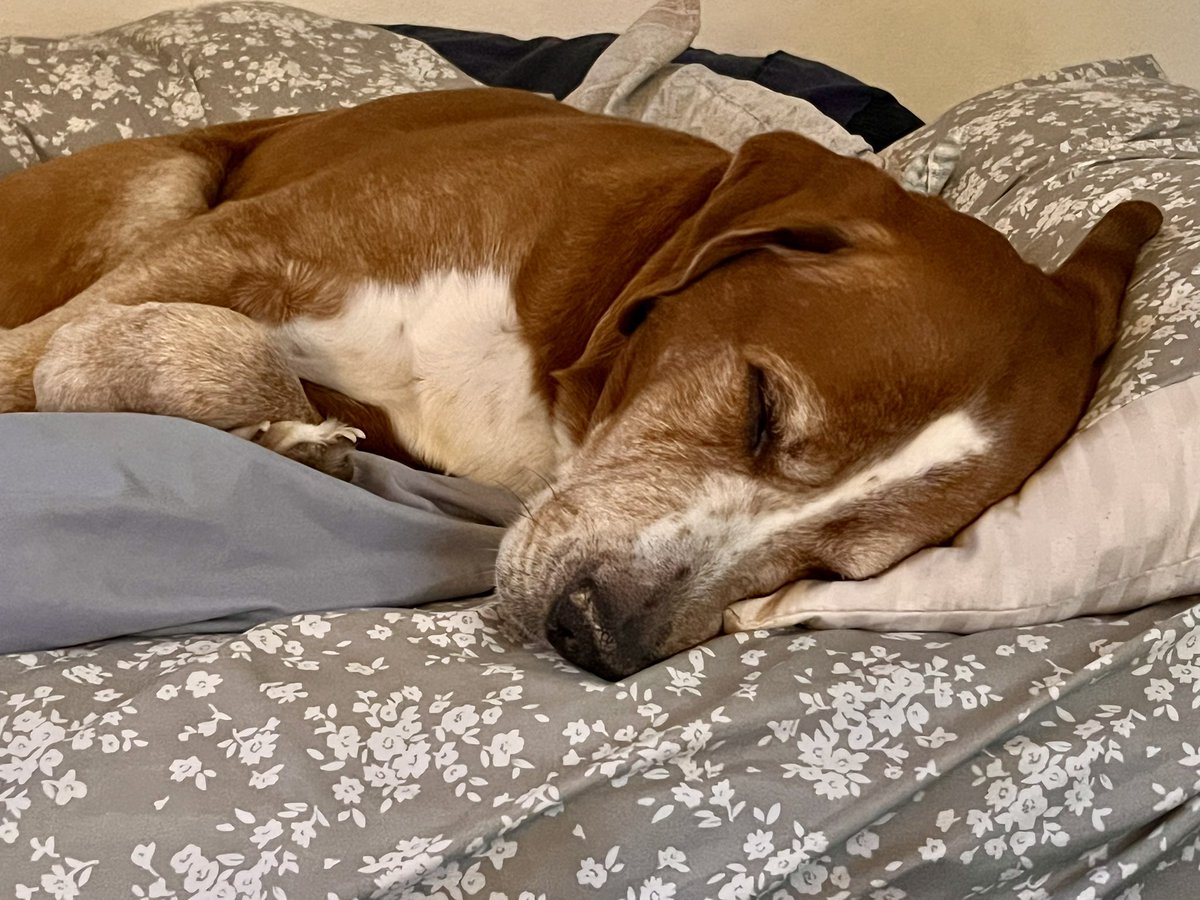 chiefthunderstick tweet media