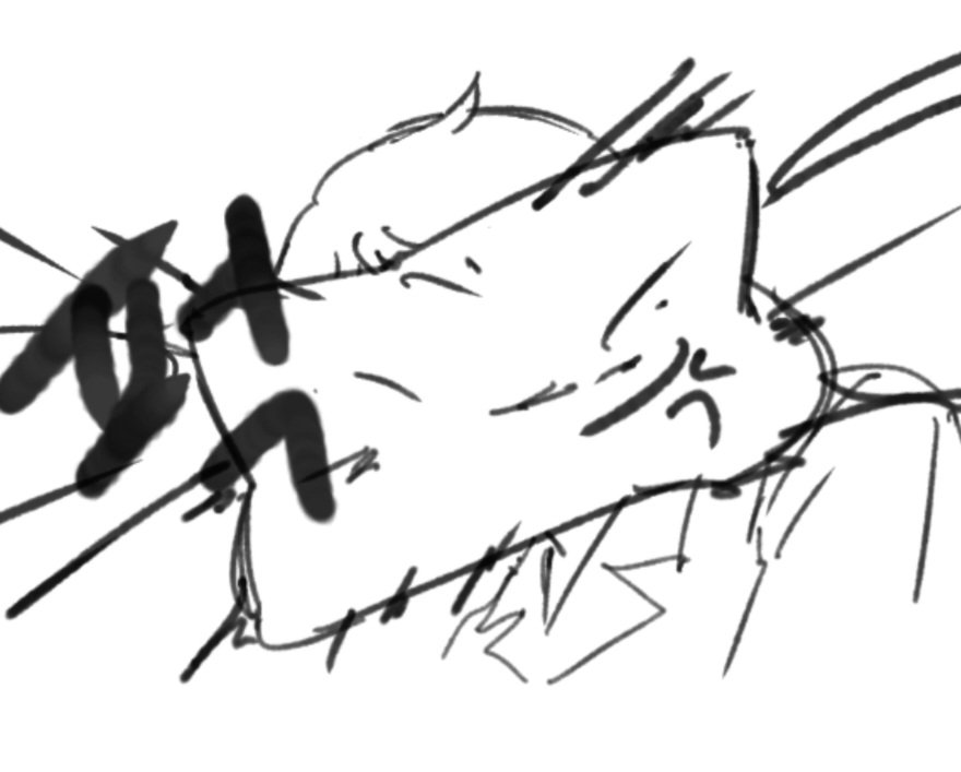 롥 tweet media
