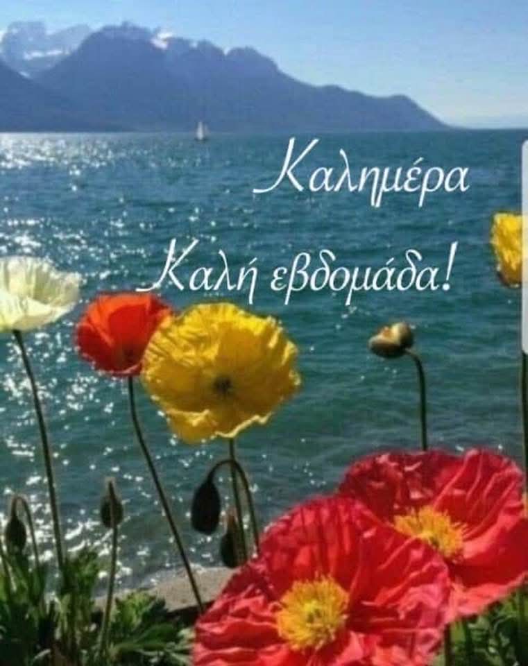 <a href="/GiotaPapapetrou/">Giota Papapetrou</a> <a href="/XristinaP81/">Χristina.Ps.🐾</a>