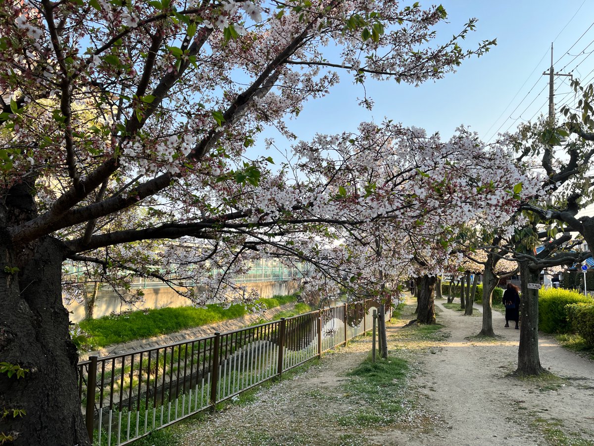 𝕁𝕒𝕡𝕒𝕟𝕒𝕙𝕠𝕝𝕚𝕔🇯🇵 tweet media