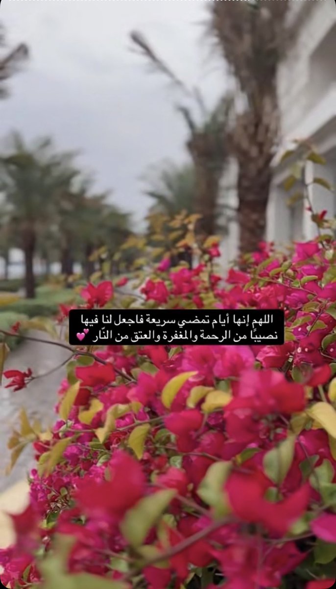 ‏سمـر🇸🇦 tweet media