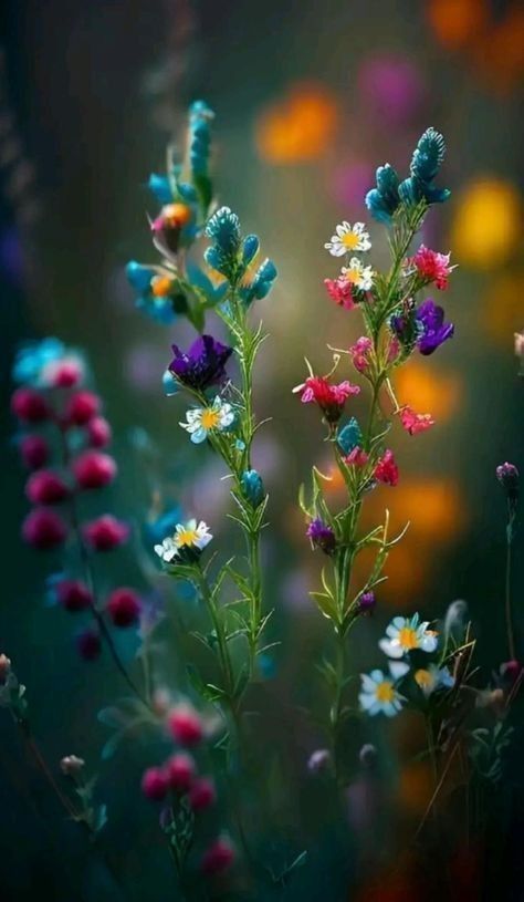 Faith Sam-Sam tweet media