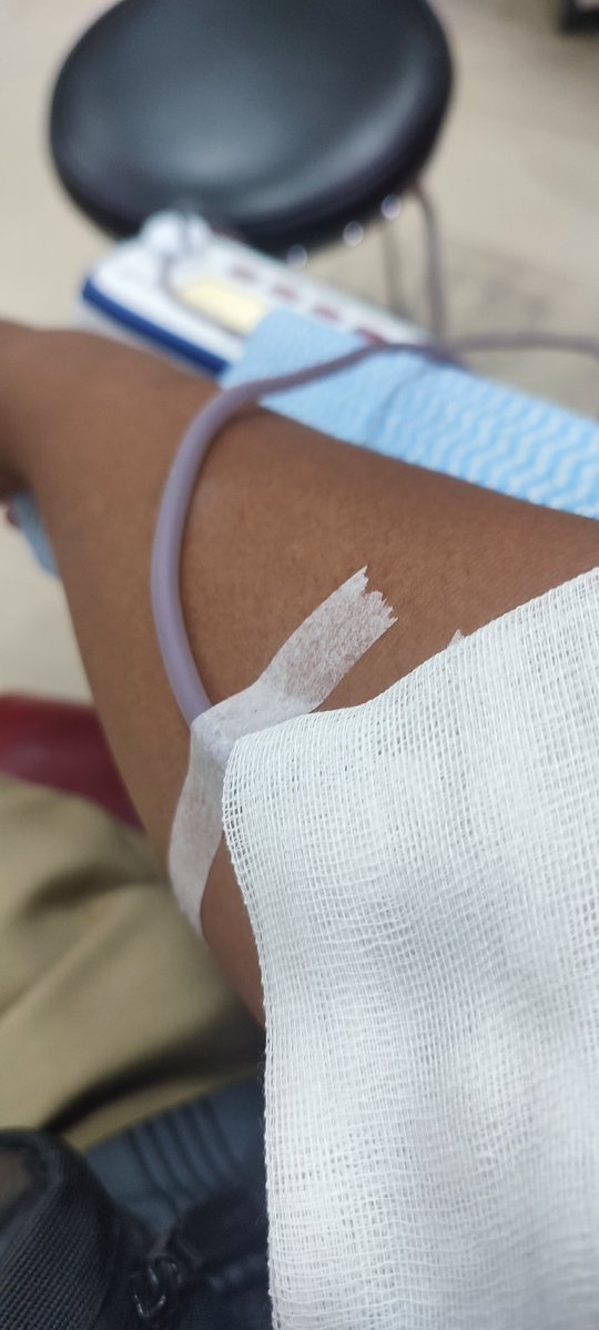 Oink// Pixel Artist tweet media