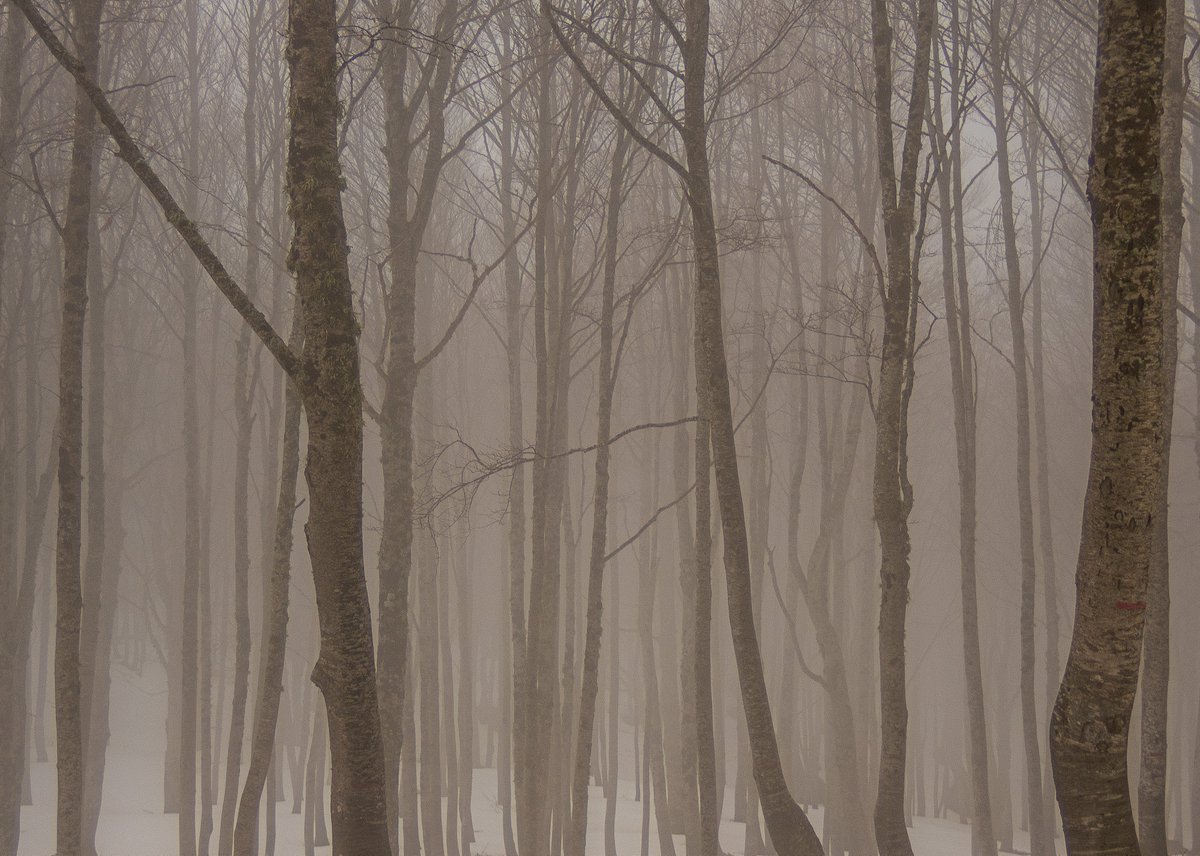 Escursione invernale al rifugio del Monte al Gran Sasso #abruzzo #gransasso #natura #italy #trekking