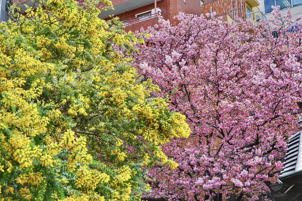 御朱印・神社メモ tweet media