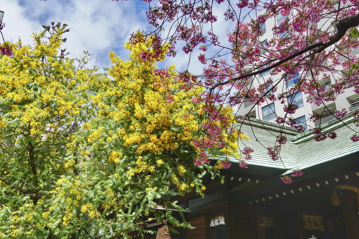 御朱印・神社メモ tweet media