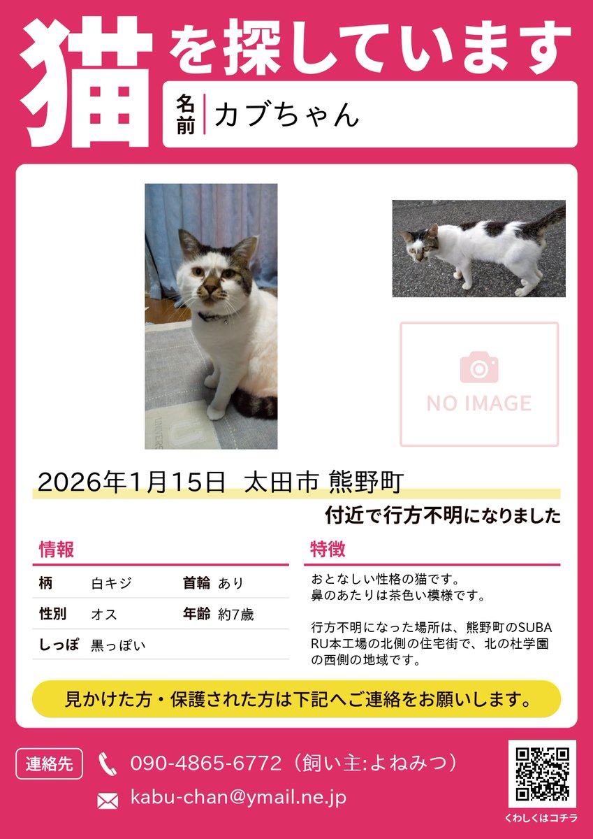 mzf_official's tweet photo. 【リポストをお願い申し上げます】

猫を探しています。

2026年1月15日群馬県太田市で行方不明

詳しい場所は熊野町のSUBARU本工場の北側の住宅街で、北の杜学園の西側の地域です。

些細な情報でも結構ですので、ご連絡をいただけましたら幸いです。
よろしくお願い申し上げます。
#迷子猫
#群馬県 https://t.co/L81KgsJTiI