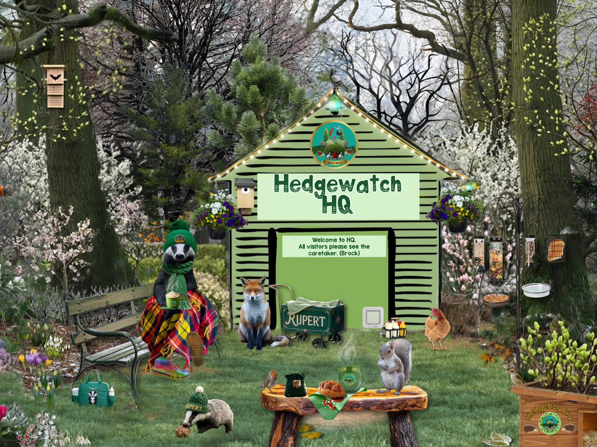 Happy Monday all. It’s Meatball Day. Brock and his pals are outside enjoying the signs of Spring at HQ and taking a break to try Nana Brock’s homemade meatballs. Come over and join them or let us know what adventures you’re up to today. ❤️❤️🐾🐾. #Hedgewatch