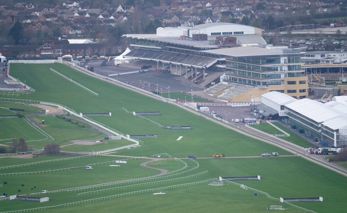 My Racing Tips tweet media