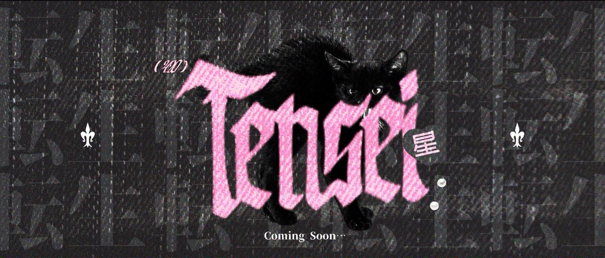 untold project tweet media