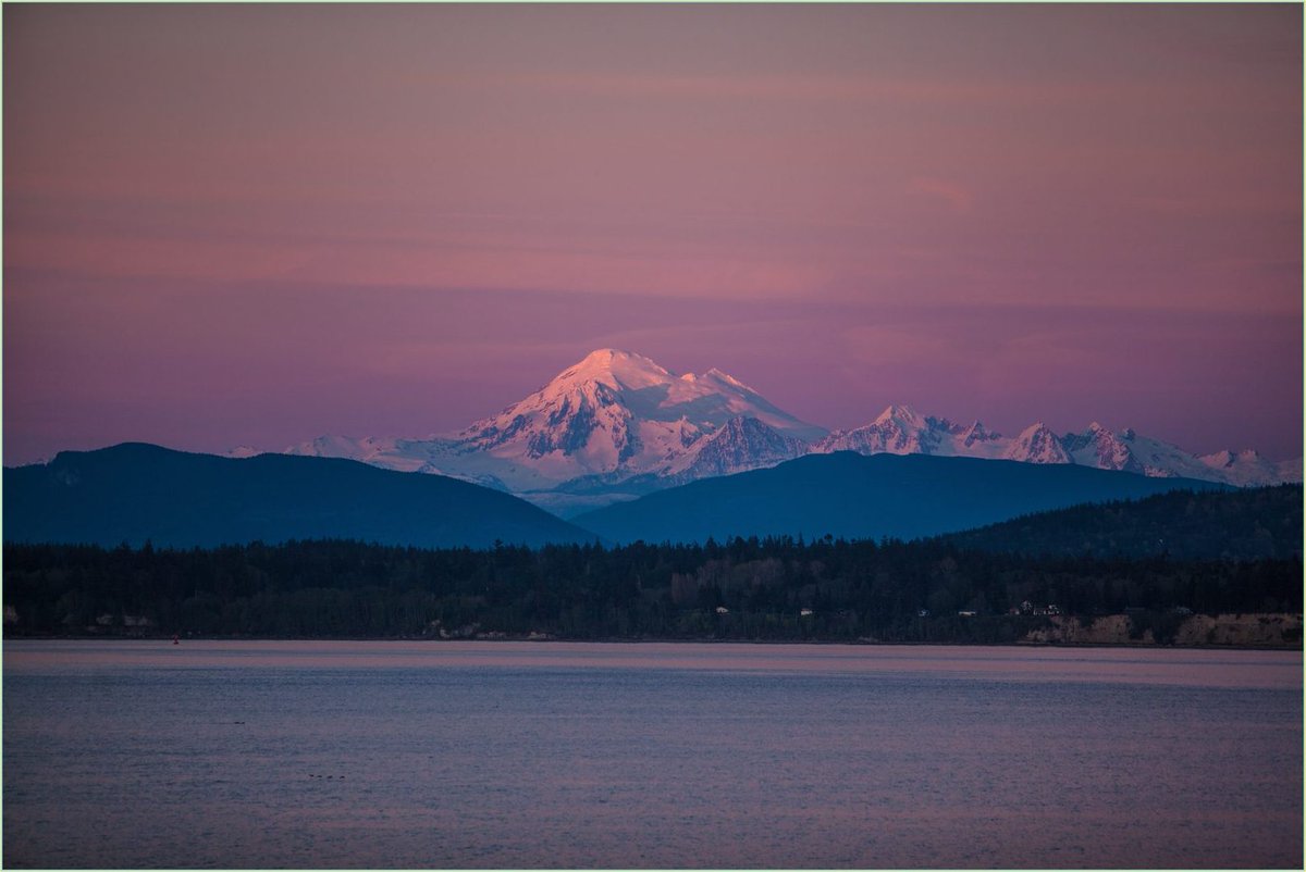 Bu ağaçlar neden bu kadar sakin? #duzce