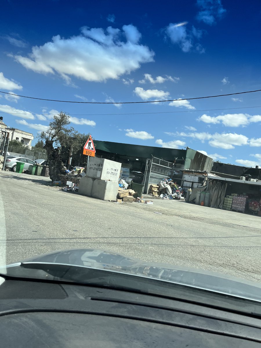 טל מאיר tweet media