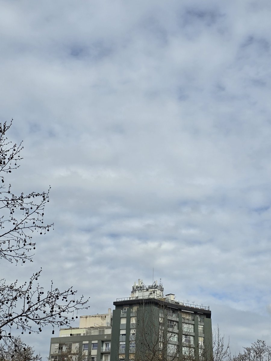 M.Isabel tweet media