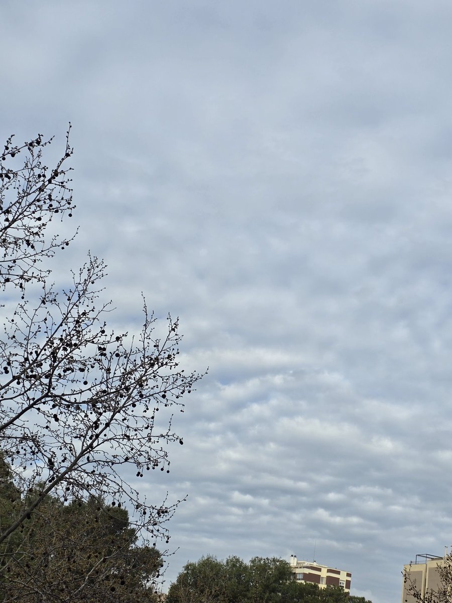 M.Isabel tweet media