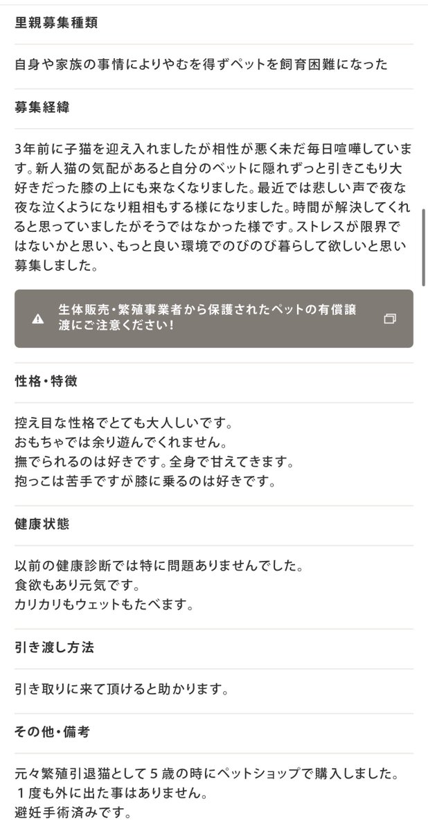 535nao🚀💫ねこのようなもの tweet media