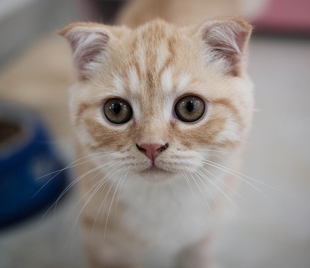 Todd Jens tweet media