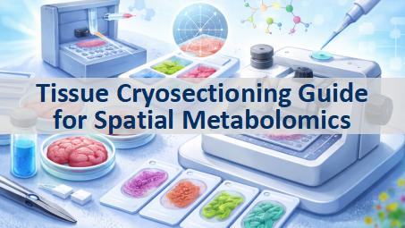 MetwareGlobal's tweet photo. Bad cryosectioning can ruin spatial metabolomics data before imaging even begins.
This blog explains how to improve tissue section quality, choose the right thickness and temperature, and troubleshoot common issues like tearing, curling, and tissue loss.
https://t.co/6p60XqMPc2 https://t.co/lkobS3pNJ2