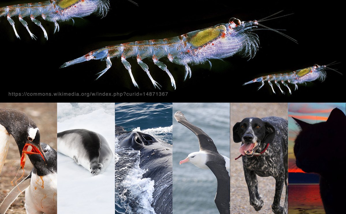 Dr Richard Kirby tweet media