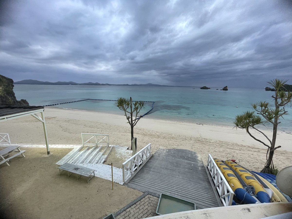 ノビタ tweet media