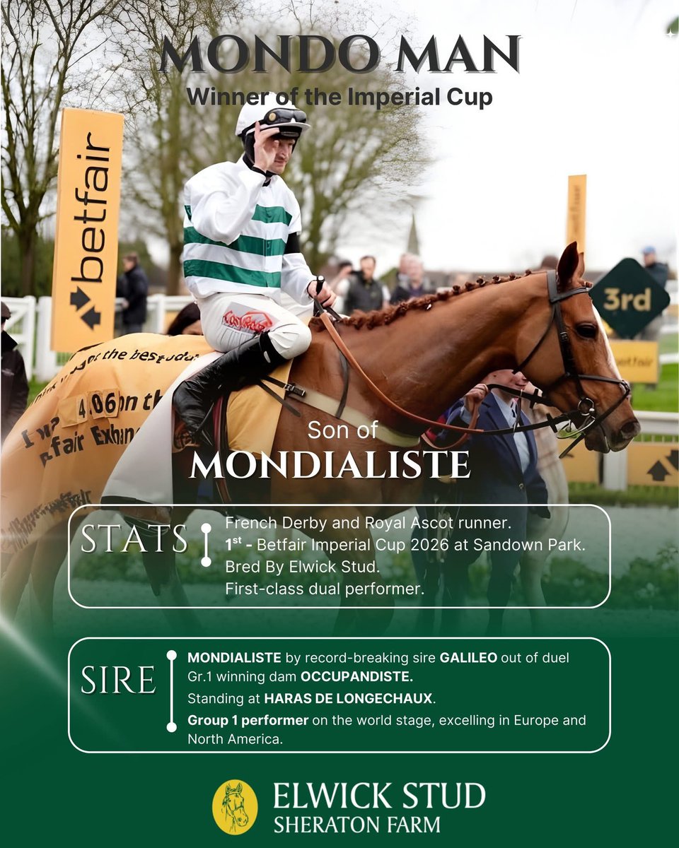 Elwick Stud tweet media