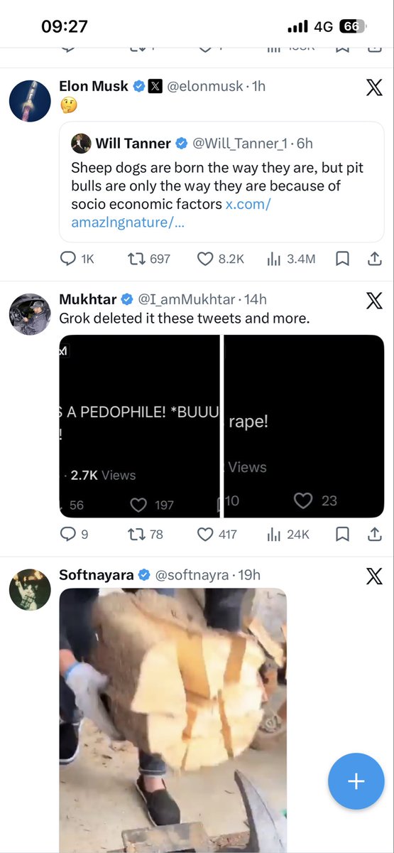 Alex tweet media
