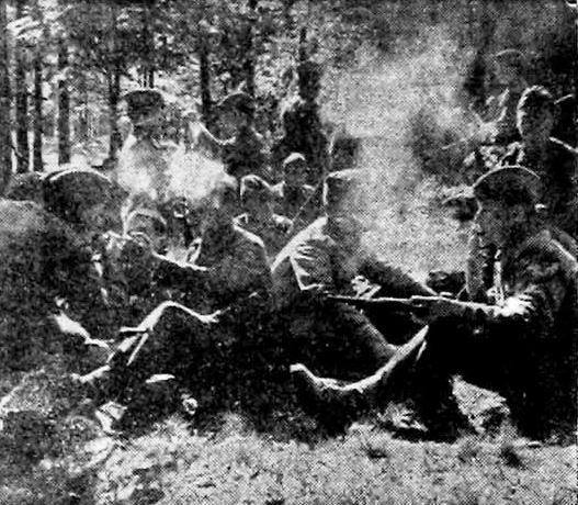 Kosta Konstantinović 🇪🇺🇺🇦🇬🇪 tweet media