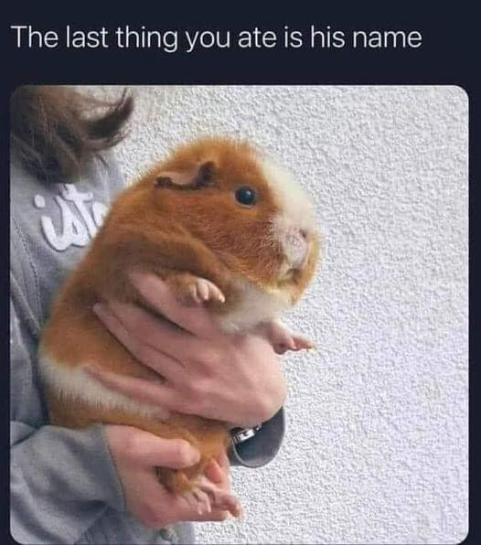 WholesomeMemes tweet media