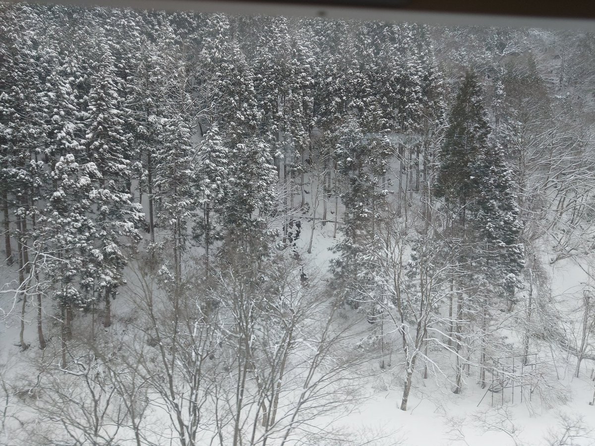 土日はトレインスタンプラリーワイドコース制覇のため東京→青森→秋田→仙台→山形→帰京の旅。宿泊地へ向かう五能線が強風で１日運転見合わせとなりピンチを迎えたが、宿泊先の不老不死の湯さんに遠くまでお迎えに来ていただいた。弘前観光案内所さんはじめ、地域の方々の温かい御対応に感謝。